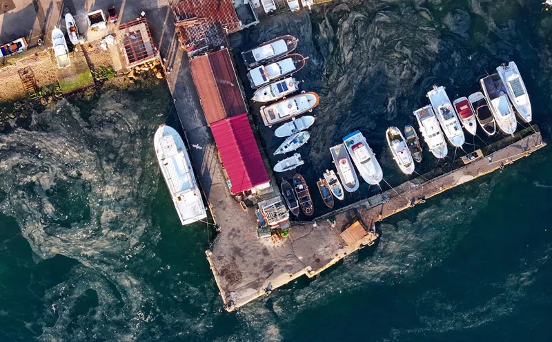 Kınalıada'da müsilaj (AA)