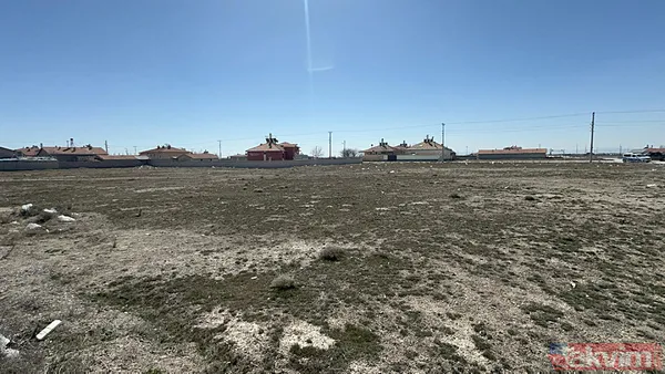 10 köpeğin saldırısına uğradı! 2 yaşındaki Rana hayatını kaybetti! Soruşturma başlatıldı - 3