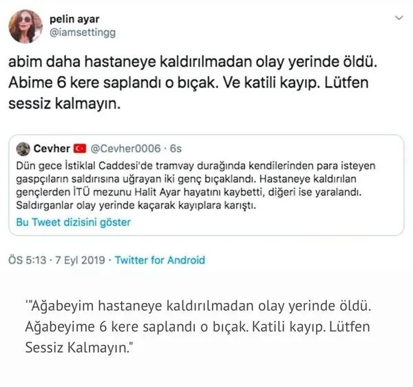 Beyoğlu'nda öldürülen Halit Ayar'ın katillerinin suç dosyası kabarık çıktı! Verilen cezalar az mı?-1