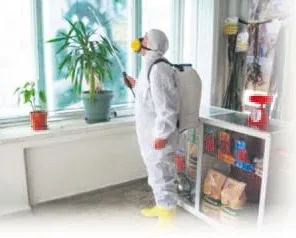 Evinizi ilaçlarken çocuğunuzu kanser etmeyin