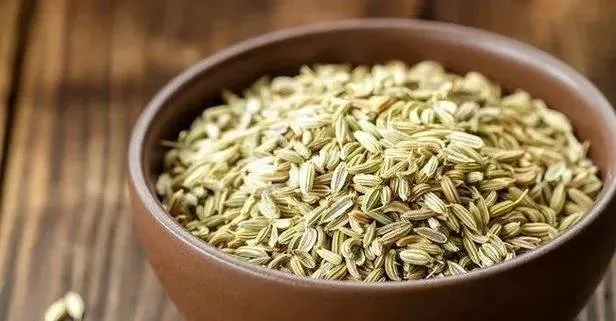 Kansere rezene