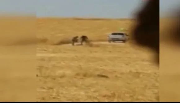 PKK/PYD’li teröristler buğday tarlasını yakıp, halay çekti-1