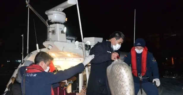 SON DAKİKA: İzmir'de Yunanistan tarafından itilen toplam 123 kaçak göçmen kurtarıldı