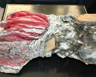 Yüzerken buldu! Sudan çıkarınca gözlerine inanamadı