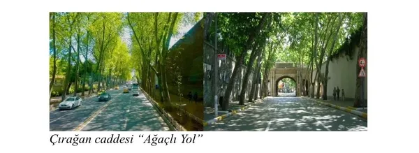 chpli-ibb-ciragan-caddesindeki-tarihi-cinarlari-katletti-avrupada-kanserli-agaclar-bakin-nasil-kesiliyor-ibbni-1647772258626.jpg CHP'li İBB Çırağan Caddesi'ndeki tarihi çınarları katletti! Avrupa'da kanserli ağaçlar bakın nasıl kesiliyor? İBB'nin yalanı böyle çürüdü-5