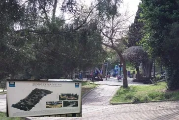 CHP’den ağaç katliamı!