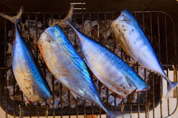 Ne levrek ne hamsi onu mutlaka şimdi denemelisiniz: Bu balık Aralık ayında yeniyor!-8