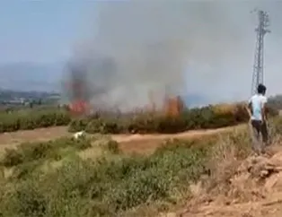 İzmir’de makilik yangını