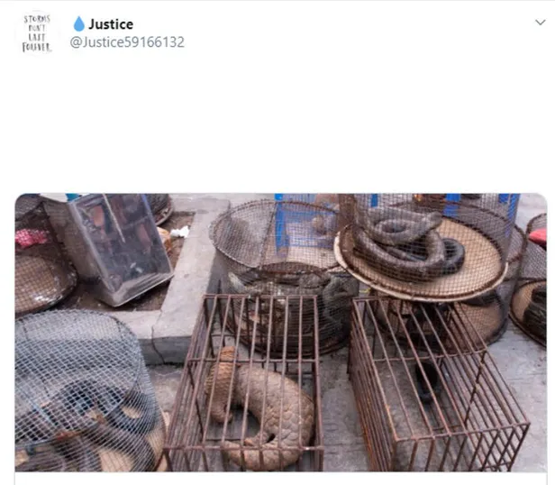 İngiliz Guardian'dan şoke eden makale: KOVID-19 daha başlangıç!-6