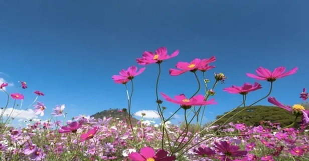 İlk cemre hangi tarihte düşecek, havalar ne zaman ısınacak? Cemre ne zaman düşer 2022? Havaya, suya, toprağa…-5