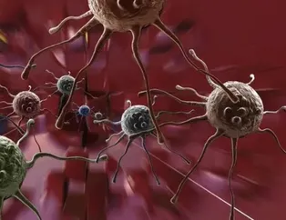 Kanserden korunmanın yolu sağlıklı beslenme! İşte kansere karşı tüketilmesi gereken 7 besin