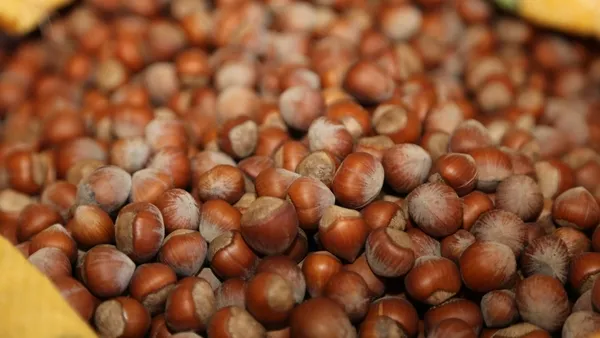 2020-findik-alim-fiyati-ne-kadar-il-il-findik-fiyatlari-kac-lira-ordu-giresun-kocaeli-sakarya-1595941025428.jpg 2020 fındık alım fiyatı ne kadar? İl il fındık fiyatları kaç lira? Ordu, Giresun, Kocaeli, Sakarya…-3