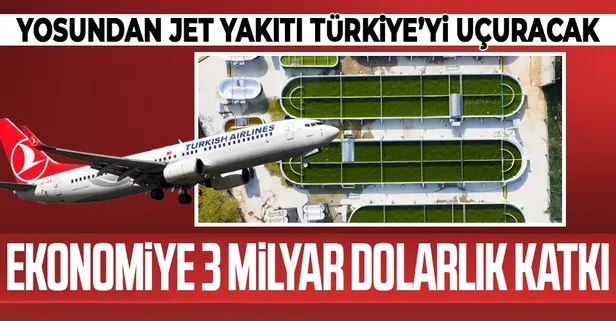 Ekonomiye yıllık 3 milyar dolarlık katkı! Yosundan jet yakıtı uçuracak