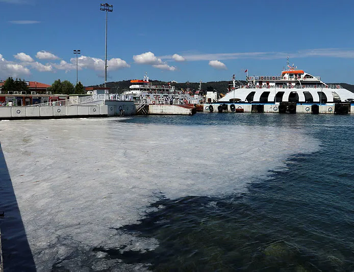 Marmara’daki müsilaj Ege Denizi’ne yayılır mı?