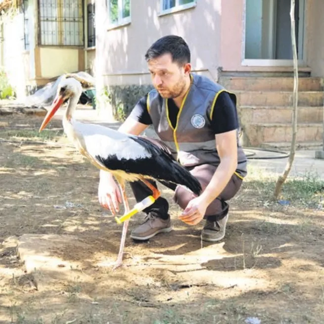3 boyutlu yazıcıdan leyleğe bacak