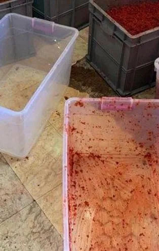 Son dakika: Nargile baronlarına imalathanelerde suçüstü: 50 ton kaçak tütünle yakalandılar