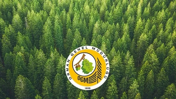 iskur-ogm-basvuru-ekrani-ogm-5000-personel-alimi-basvuru-sartlari-neler-ogm-basvuru-sonuclari-ne-zaman-aciklan-1649959212794.jpeg OGM 5.000 personel alımı başvuru şartları neler? OGM başvuru sonuçları ne zaman açıklanacak? İŞKUR OGM BAŞVURU EKRANI-2