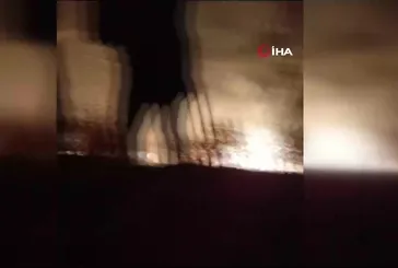 Hatay'da ormanlık alan alevlere teslim oldu