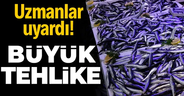 Uzmanlardan 'hamsi' uyarısı: Nesli tükenebilir