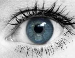 İlginç Bilgiler...