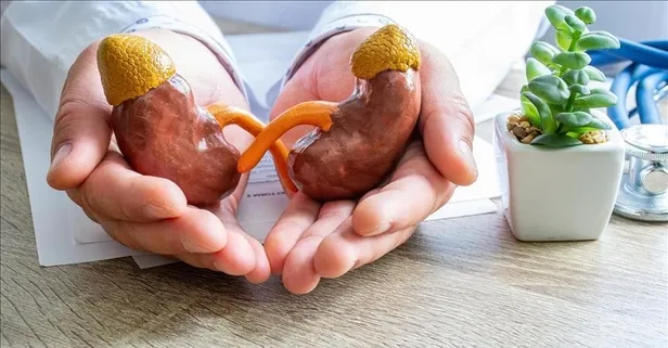 Böbrek hastaları dikkat! Oruç tutmak için doktorunuza danışın