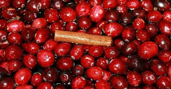 prostata kizilcik iste kizilcigin faydalari takvim