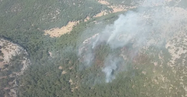 İzmir'de çıkan orman yangını kontrol altına alındı