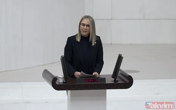 TBMM'de kadın vekillerin şıklık yarışı! HDP'li isimden sinsi mesaj: Meral Danış Beştaş yılan kolyesi taktı - 9