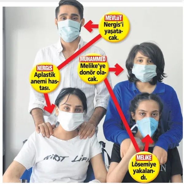 Aralarında doktor, eczacı ve uyuşturucu tacirleri de var! Jandarmadan dev operasyon (Yaşam haberleri)-10
