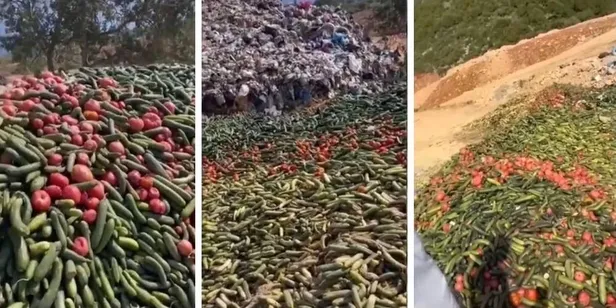 antalya-gazipasada-tonlarca-sebze-bos-arazide-bulundu-bu-nasil-bir-insanliktir-1654547225852.jpeg Antalya Gazipaşa'da tonlarca sebze boş arazide bulundu: "Bu nasıl bir insanlıktır?"-3