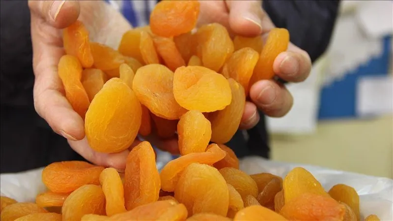 kuru-kayisi-yeni-ihracat-sezonuna-37-milyon-dolarla-hizli-basladi-1725524139950.jpeg Kuru kayısı yeni ihracat sezonuna 37 milyon dolarla hızlı başladı-3