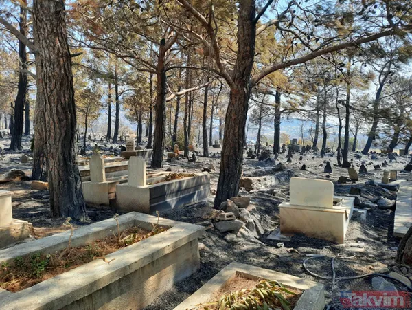 SON DAKİKA: Mersin Silifke'deki orman yangınında mezarlık zarar görürken şehidin kabri ve Türk bayrağı yanmadı - 3