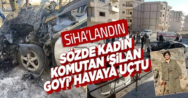 PKK’nın sözde ’Gara sorumlusu’ Şilan Goyi öldürüldü