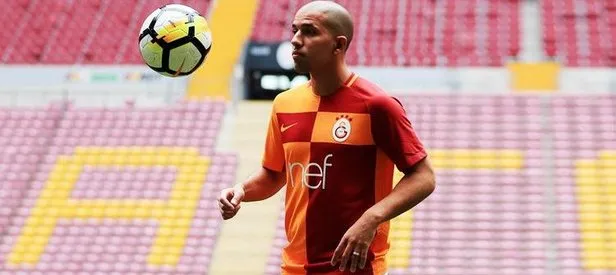 Feghouli seferberliği