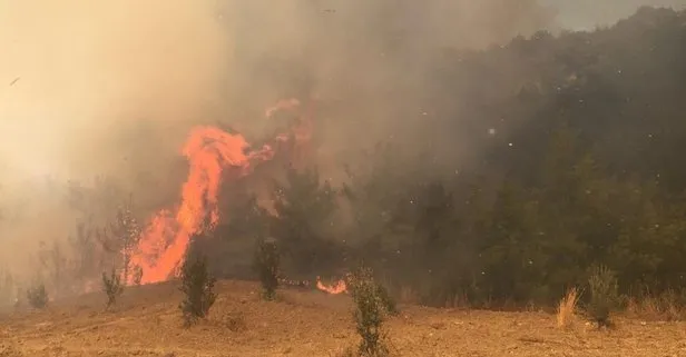 Adana’da orman yangını kontrol altına alındı