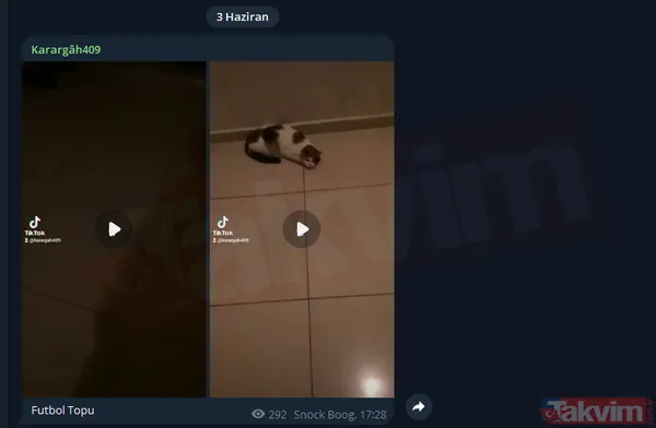 Kedi kesildi... Kur'an-ı Kerim'e hakaret edildi! Alçak paylaşımları yapan "Karargah409" hakkında soruşturma başlatıldı - 12