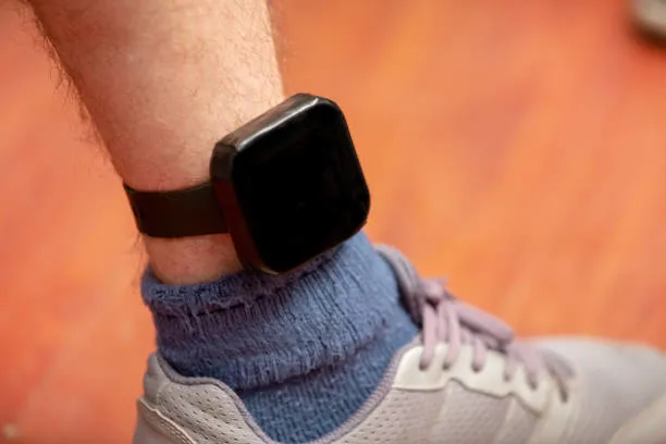 gulsene-ev-hapsi-soku-ev-hapsi-nedir-kurallari-neler-ev-hapsi-kac-gun-surer-neden-verilir-1661769654768.jpg Gülşen'e ev hapsi şoku! Ev hapsi nedir, kuralları neler? Ev hapsi kaç gün sürer, neden verilir?-5