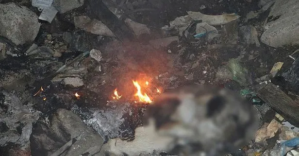 SON DAKİKA: Ankara’da vahşet: Çöplükte yanmış köpek ölüsü bulundu