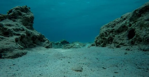 Hadi ipucu sorusu: Denizin derinliğini ölçen alet nedir? 15 Şubat Hadi ipucu