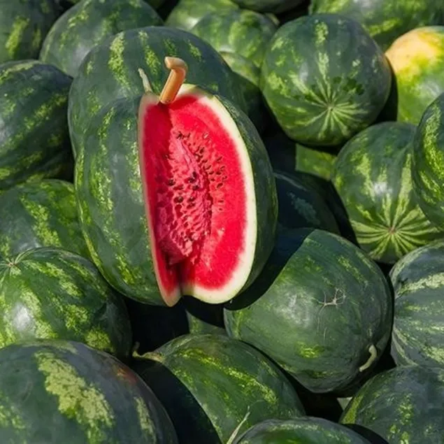 Karpuz tüketmenin altın kuralı