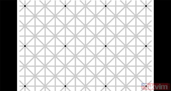 Bunu görüyorsanız çok zekisiniz! Bilim adamları açıkladı! İşte kişiliğinizi ortaya koyan o görsel... - 3