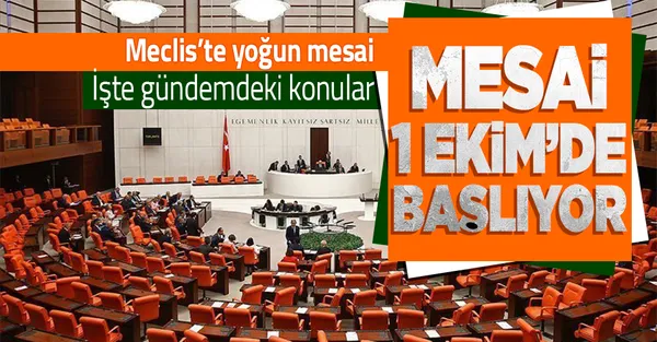 2,5 aylık ara bitti! TBMM 1 Ekim'de açılıyor! İşte yoğun mesainin konu başlıkları!-1