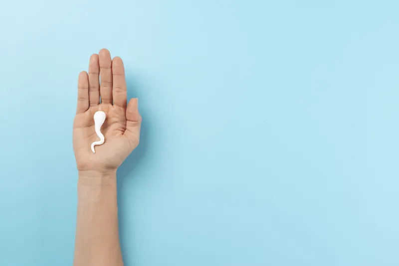 1730044042421.jpg Bu gıdalar prostat kanseri riskini artırıyor! Uzmanlar uyardı: Yanından bile geçmeyin-3