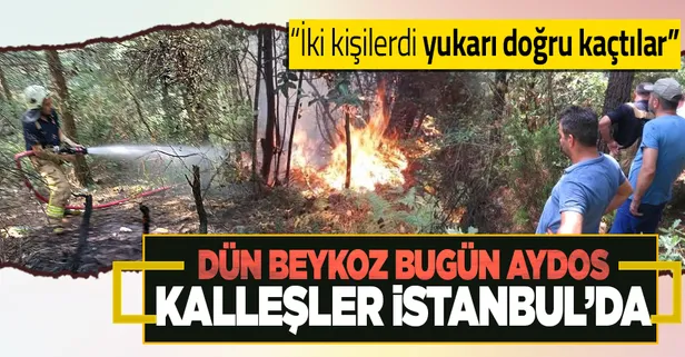 Son dakika: Aydos Ormanı'da yangın paniği! Yine sabotaj şüphesi