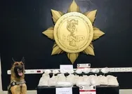 Hakkaride 30 kilo 400 gram eroin bulundu