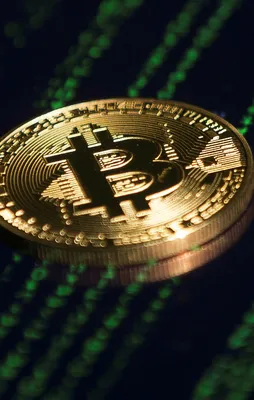 Bitcoin milyonerlerinin yeni çılgınlığı
