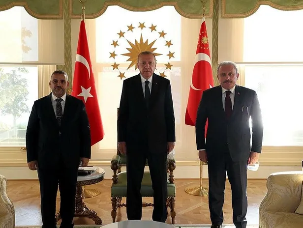 son-dakika-baskan-erdogan-ukrayna-basbakan-yardimcisi-oleg-uruskyi-kabul-etti-1598546869582.jpeg Son dakika: Başkan Erdoğan Ukrayna Başbakan Yardımcısı Oleg Urusky'i kabul etti-3