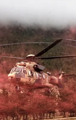 "Dağların aslanları" ansızın vuruyor