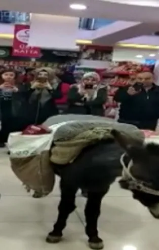 Niğde'deki eşekli şovun cezası belli oldu