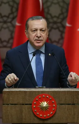 Erdoğan: Bu yüzden milli seferberlik diyorum